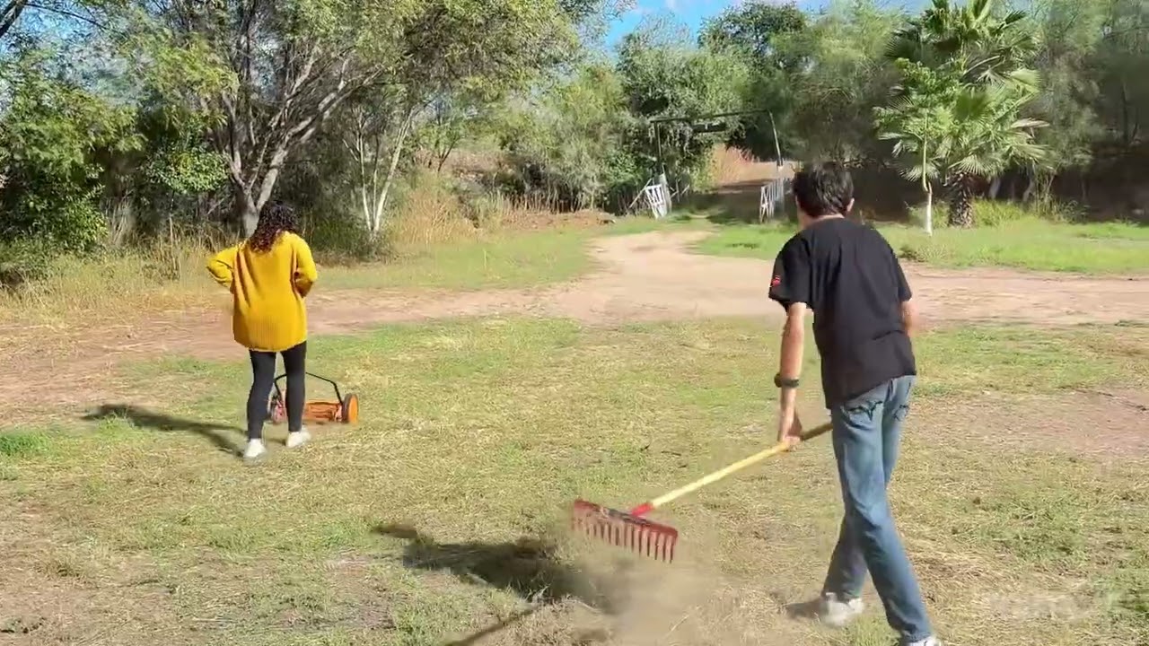 Podadora Manual Fácil y práctica
