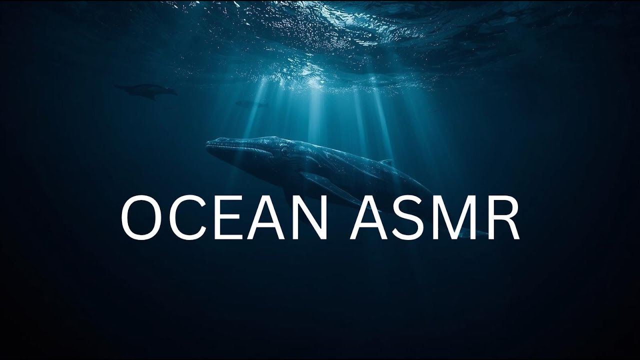 Deep Ocean ASMR 🌊 Whale Sounds for Sleep, Focus & Anxiety Relief