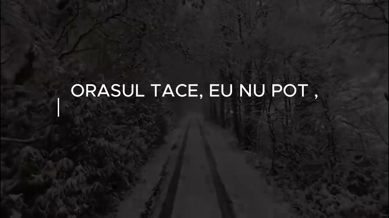 Poate Cândva(Official Lyrics Video)