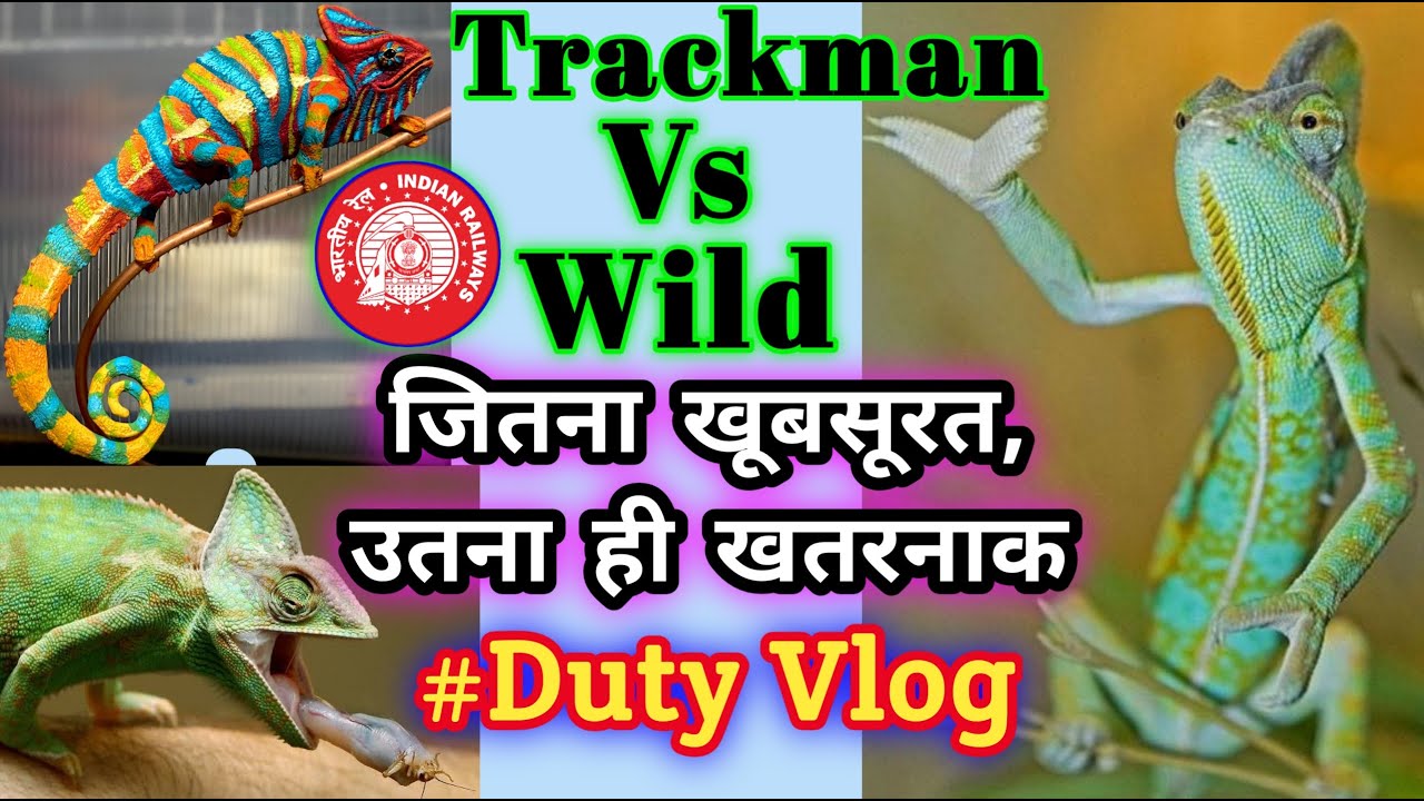 Chameleon On Track | Trackman Vs Wild | Duty Vlog | Railway Group D | Vicky Raj Railway