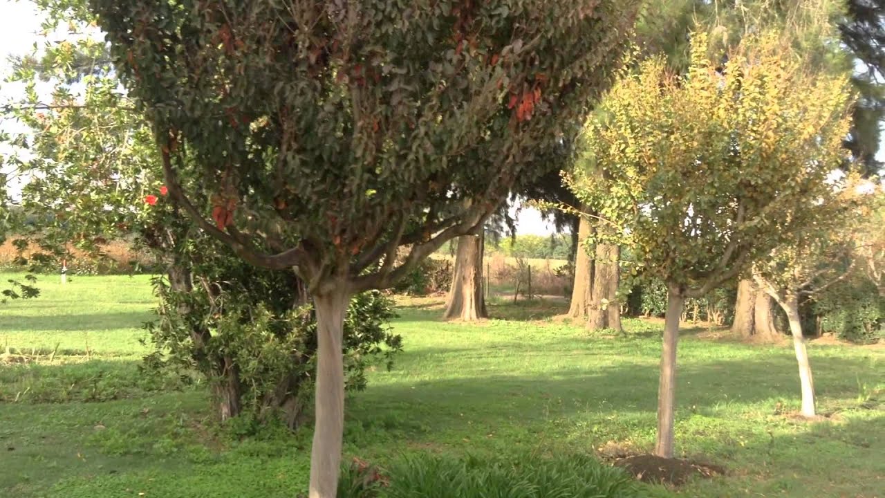 Monasterio Santa María Los Toldos -Breve recorrido- 1ra. Parte.-
