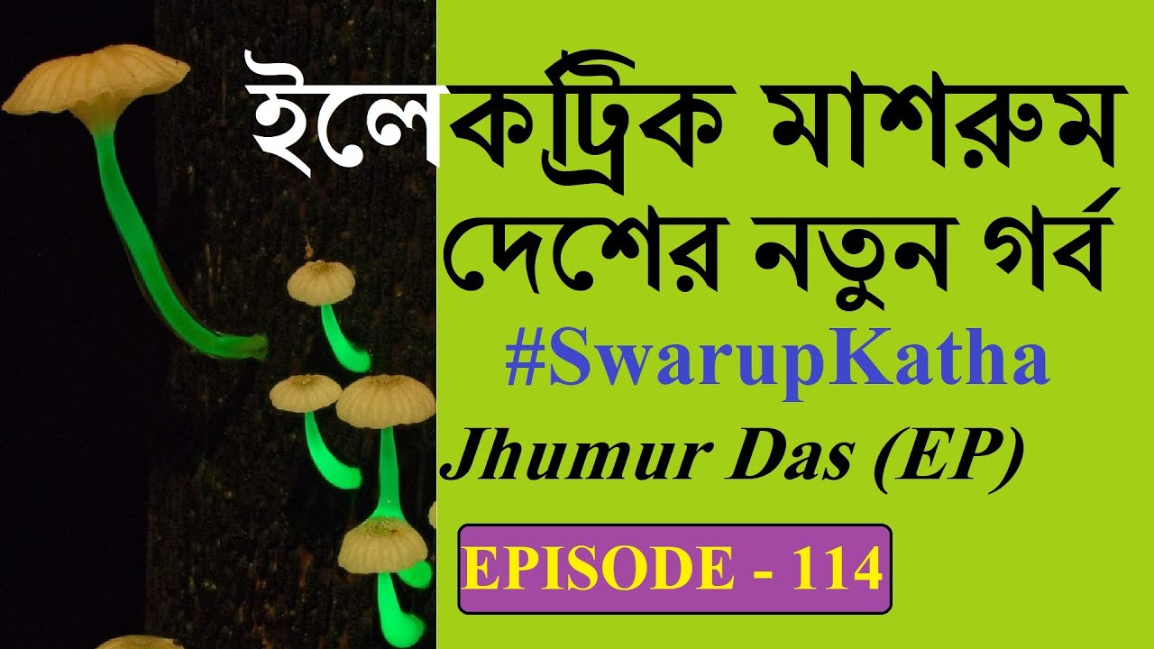 New Bioluminescent Mushroom Discovered In Meghalaya । Swarup Katha ep-114 । NorthEast । India ।China