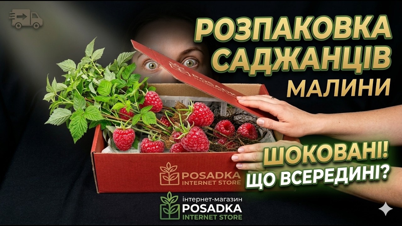 Розпаковка та огляд саджанців з інтернет магазину Posadka.