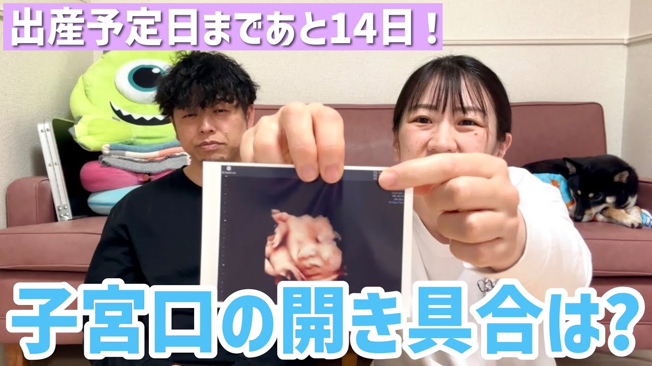 【臨月】38週0日/出産予定日まであと14日！子宮口の開き具合は？※4D、エコー映像あり/体外受精で妊娠（不妊治療・体外受精・産婦人科・妊婦健診）