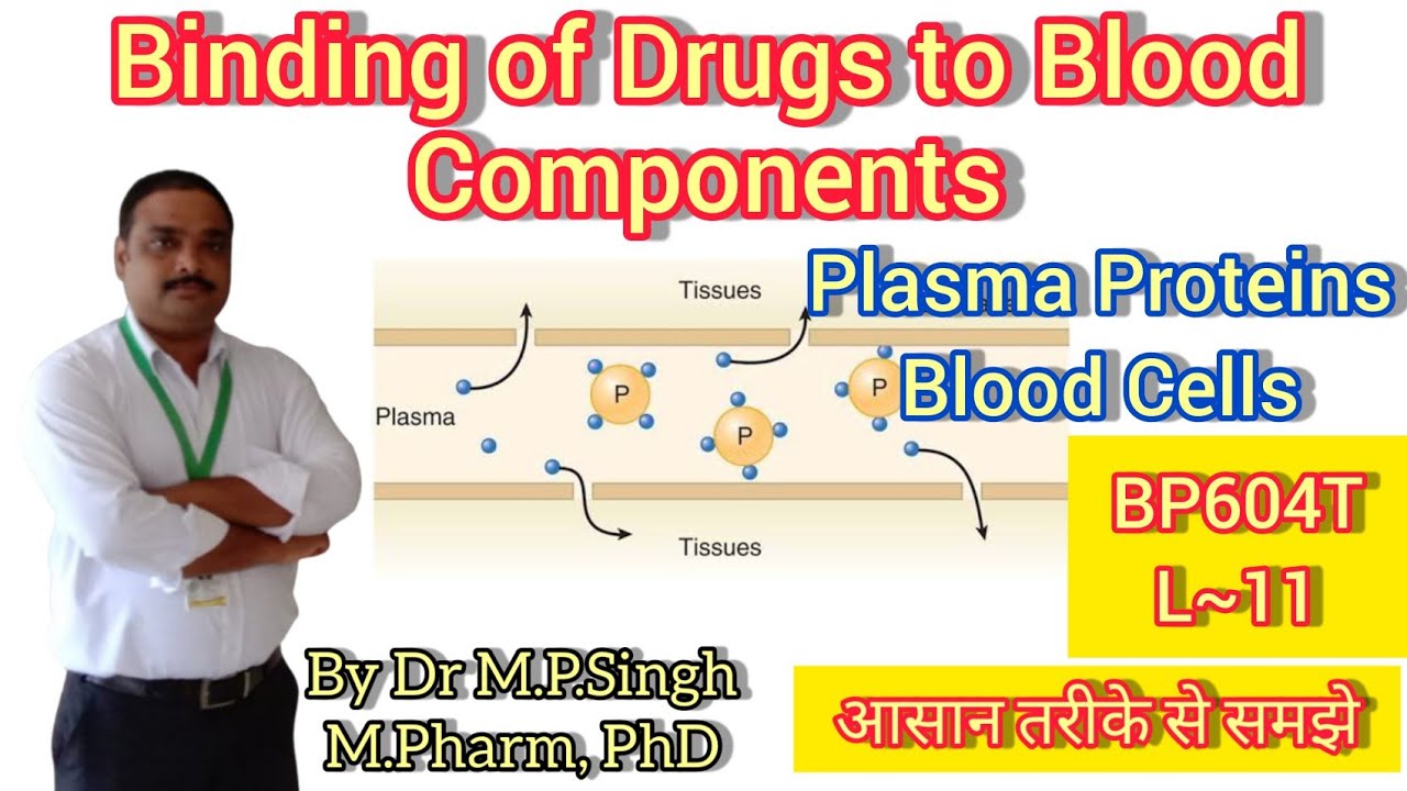 Binding of Drugs to Blood Components | Biopharmaceutics & Pharmacokinetics | BP604T | L~11