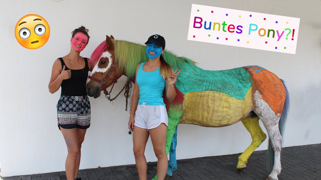 Wir malen unser Pony KOMPLETT an! 😳 | Marina und die Ponys