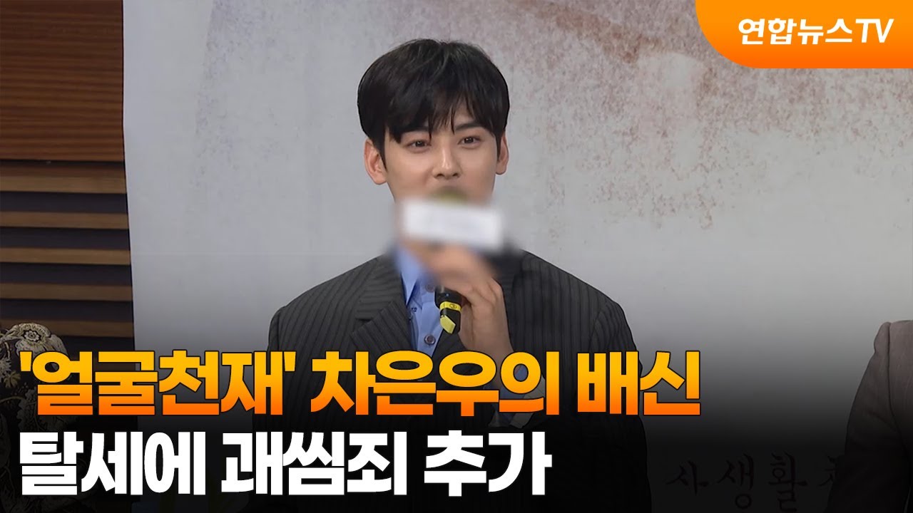 '얼굴천재' 차은우의 배신…탈세에 괘씸죄 추가 / 연합뉴스TV (YonhapnewsTV)