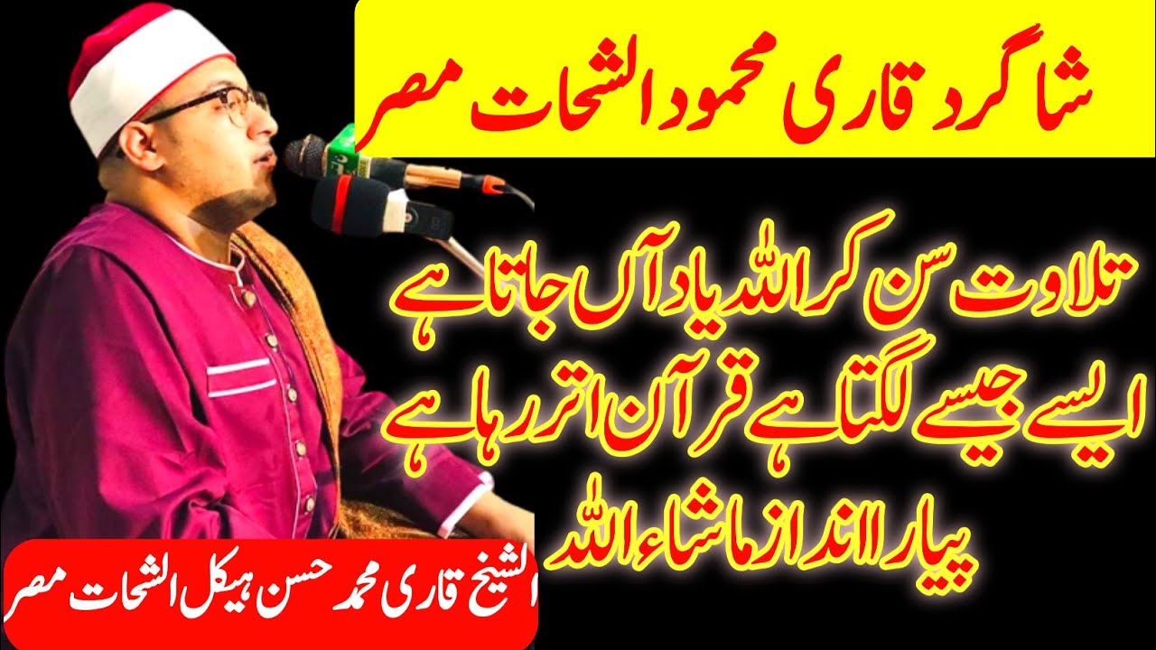 الشیخ قاری محمد حسن ہیکل الشحات Shagird Qari Mahmood Al Shahat New Tilawat Bhakar  misri qari