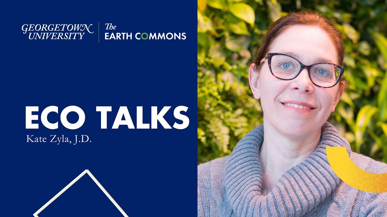 ECo Talk: Subnational Leadership and Climate Action