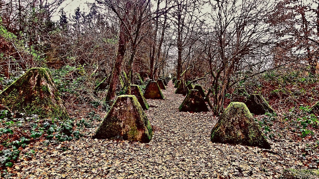 H&ouml;ckerlinie und Bunker auf der Spur #lostplace