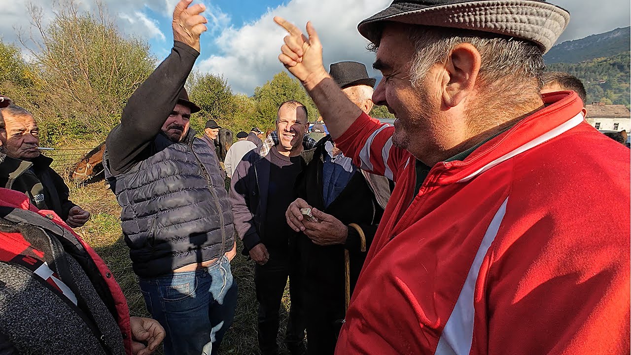 Na Derneku u Turbetu konji prodani za 11.000 eura/29.09.2025/