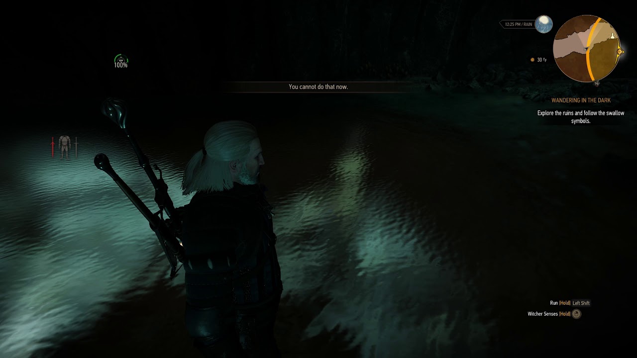 The Witcher 3 Editor Alternate Look Bug