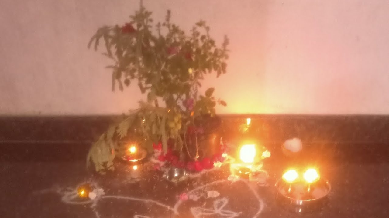 ತುಳಸಿ ವಿವಾಹದ ದಿನ ನಮ್ಮ ಮನೆಯ ತುಳಸಿ ಮಾತೆಯ ಪೂಜೆ