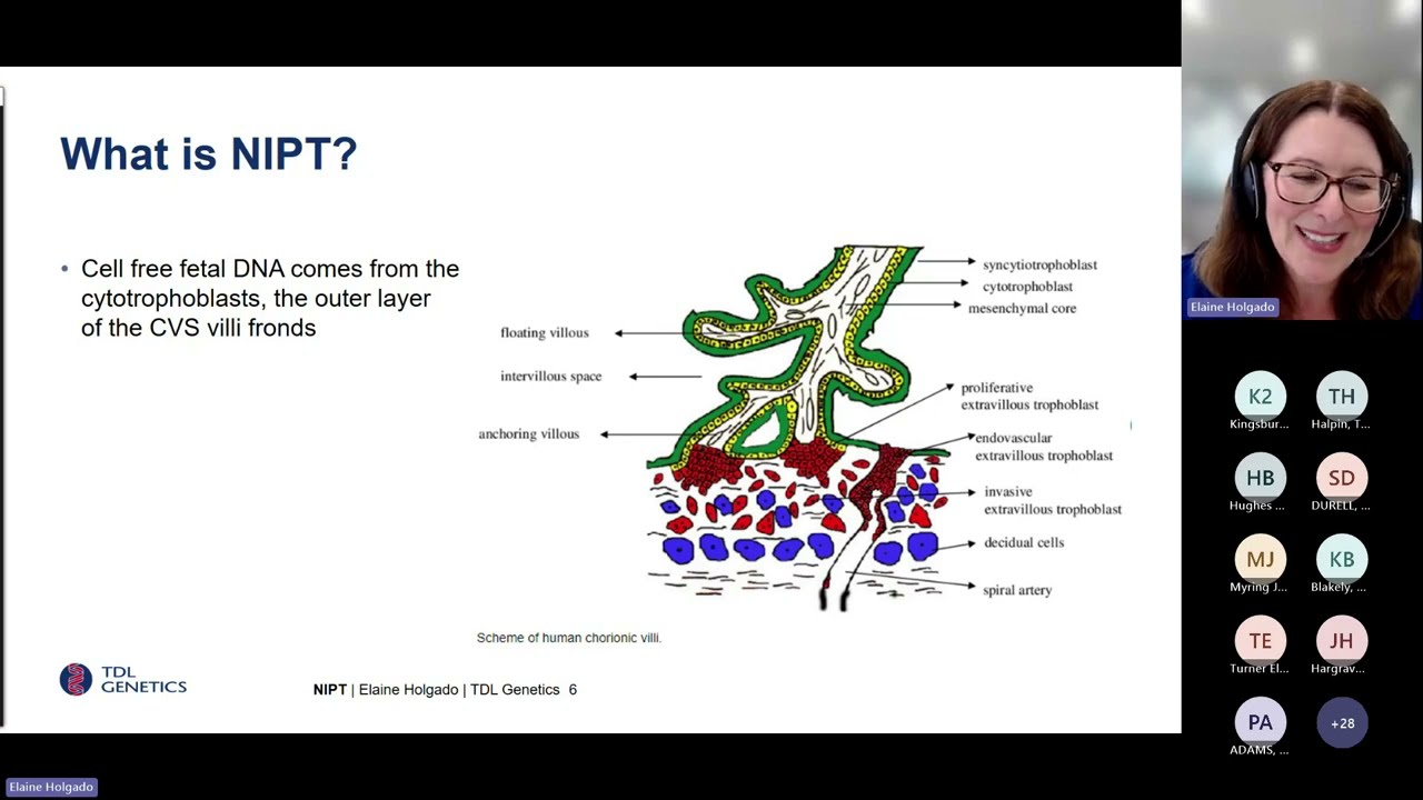 East Genomics BITE - R445 Testing Pathway: NIPT for previous trisomies (20 March 2024)