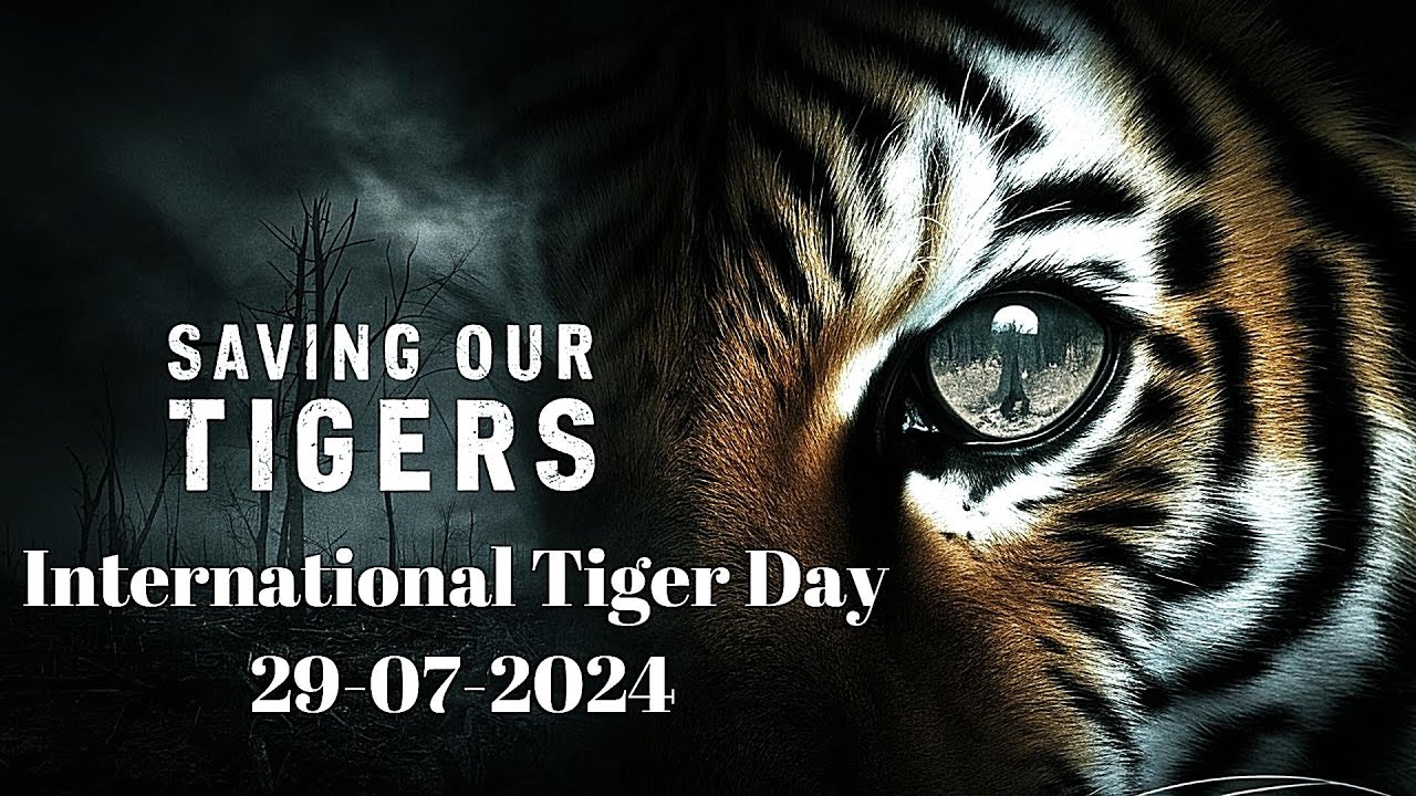 International Tiger Day 2024 | #internationaltigerday  #tigerconservation