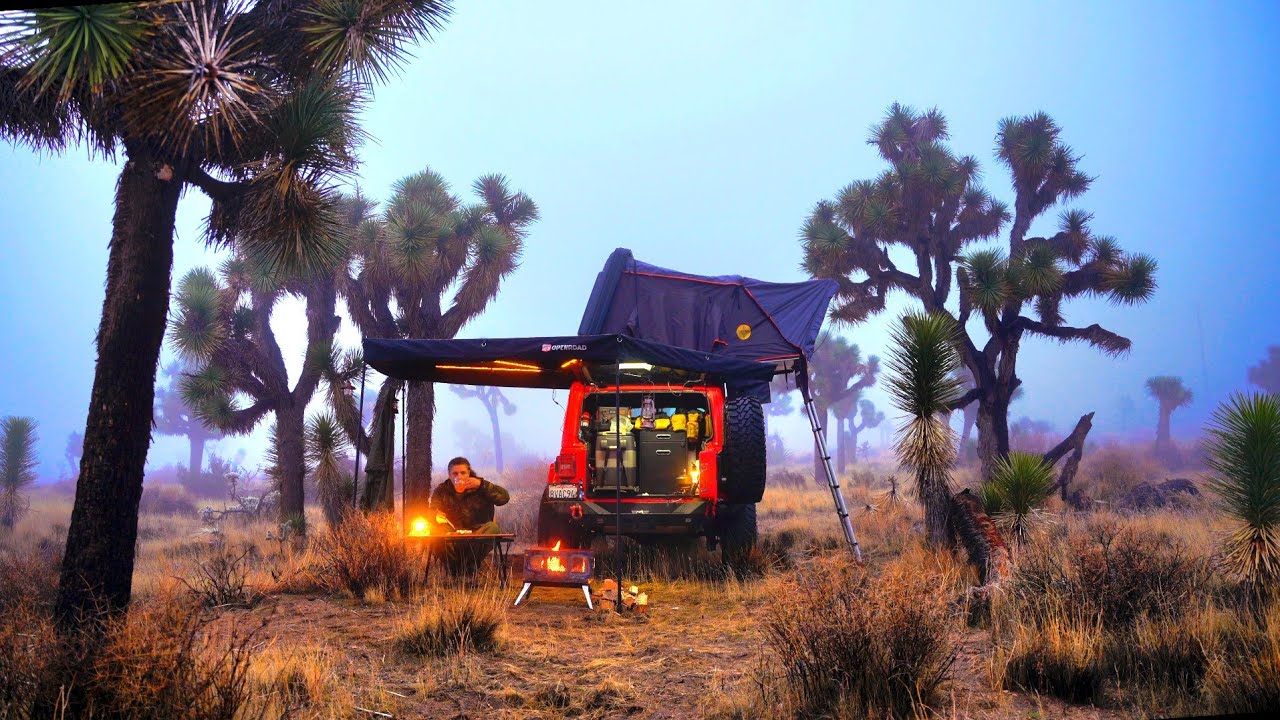 Joshua tree Solo Relaxing Camping in Rain /ASMR Silent