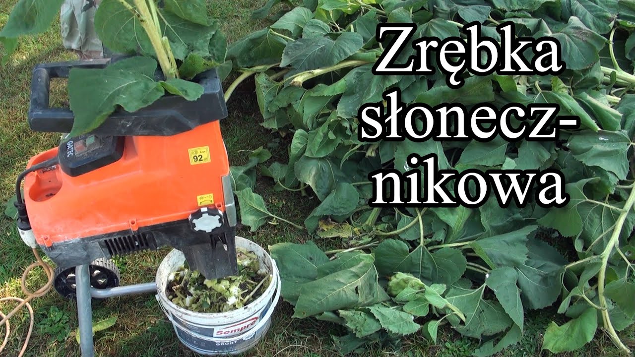 Ogrodowe pierdamony 80 - zrębka słonecznikowa