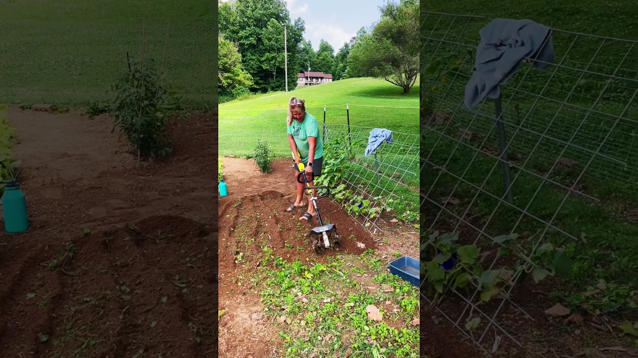 Ryobi Expand-It Cultivator attachment #ryobi #ryobitools