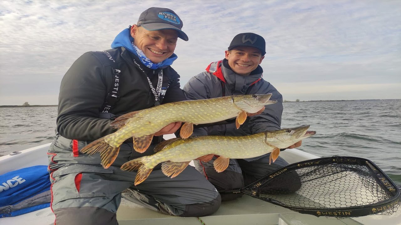 Big predators and live strikes on a crazy session. Aggressive jigging for zander, pike and perch.