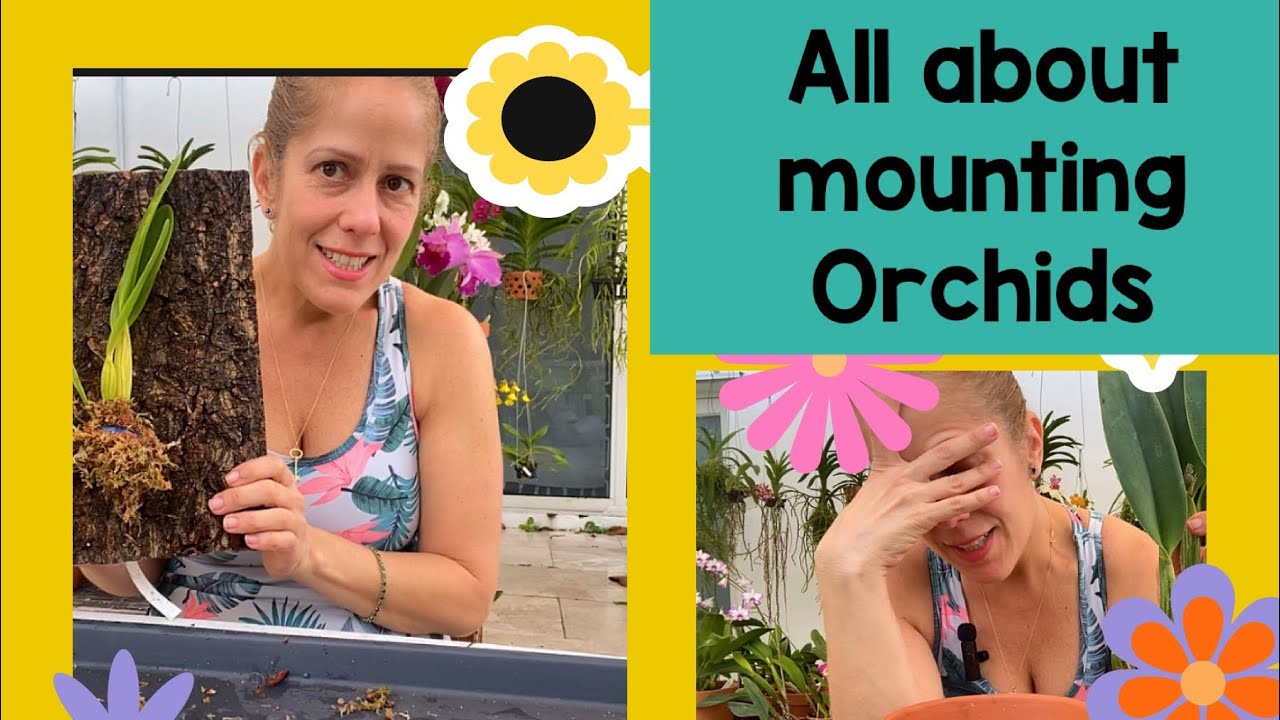 Let’s mount some orchids! Planty projects!