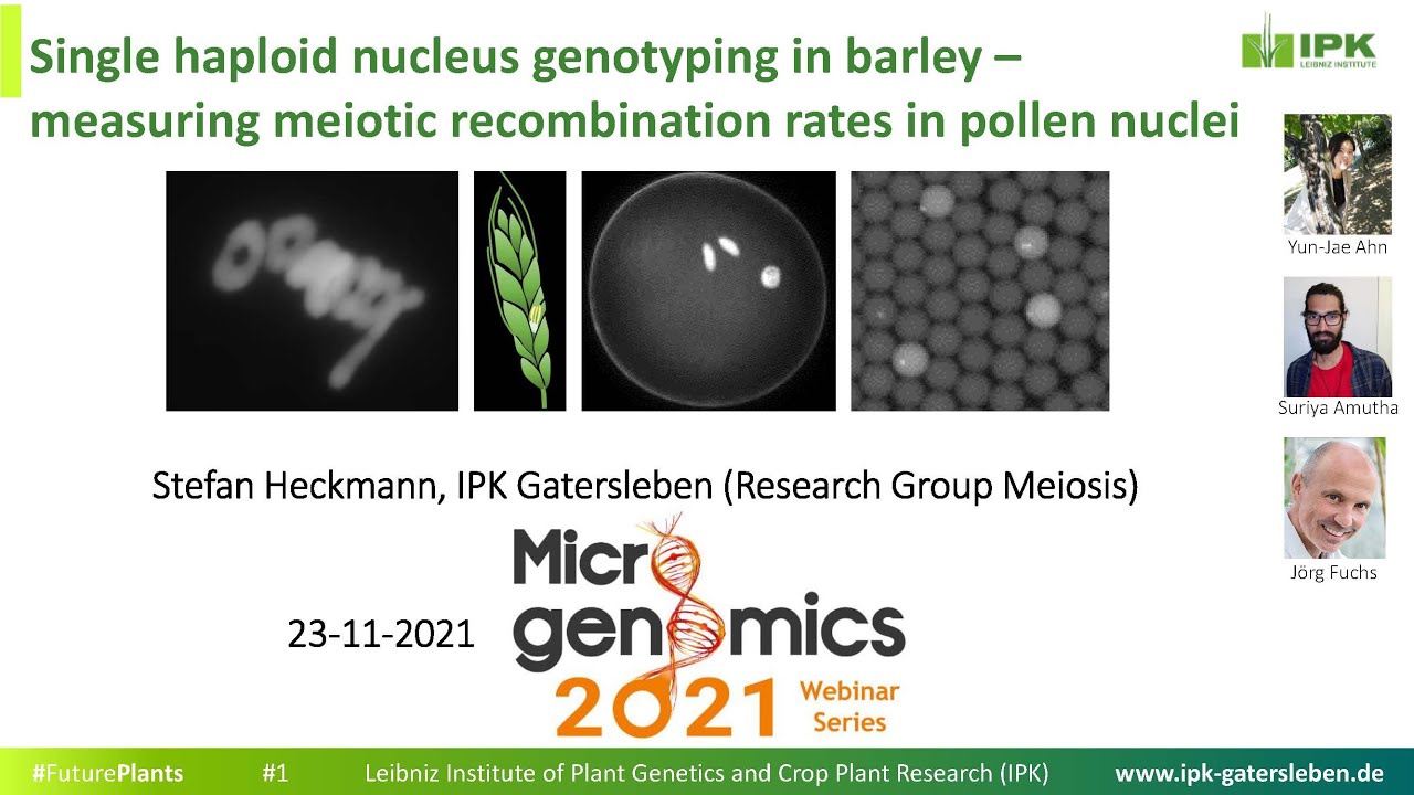 Microgenomics 2021 webinar :  Single haploid nucleus genotyping in barley