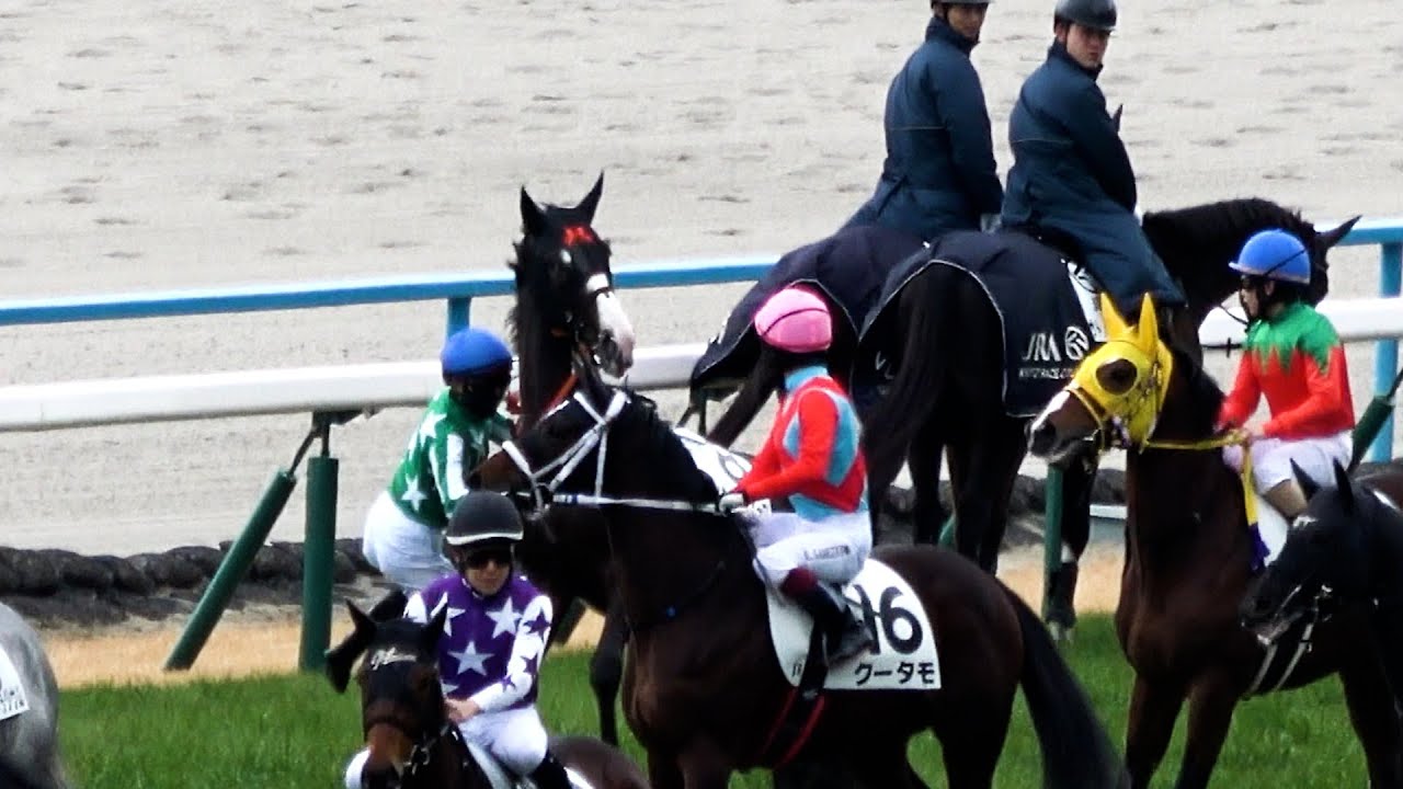 2026 【新馬戦】 返し馬で⑧タイキルッジェーロが騎手を落とすも手綱を離さず 騎手仲間や誘導馬がサポートする しかも13番人気で勝っちゃった 現地映像