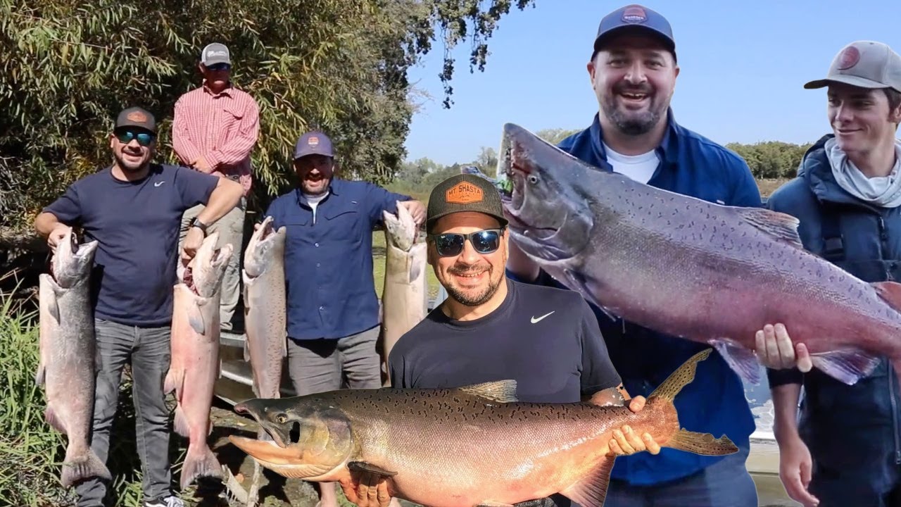 Catching MASSIVE Chinook Salmon on the Sacramento River