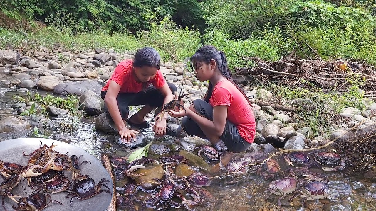 Life in jungle: Catch and cook crabs Is delicious food for dinner, Survival cooking