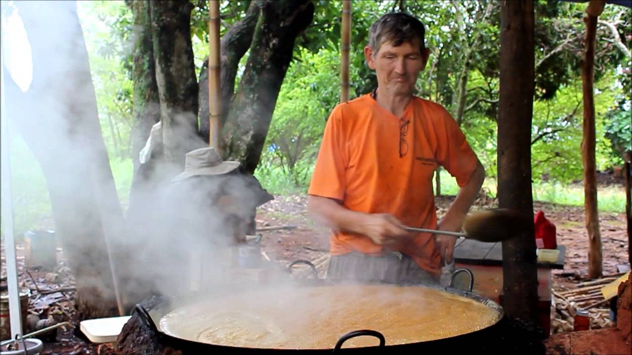 Passo a passo: produção de melado de cana