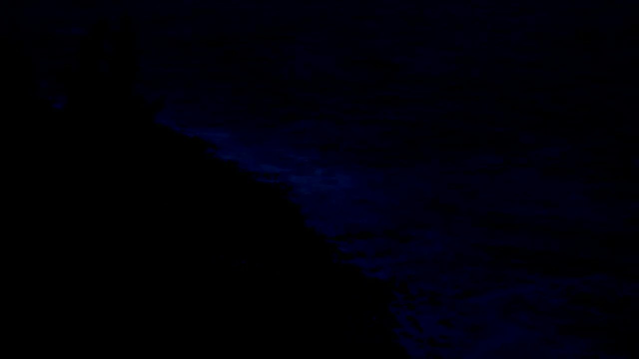 12 Hours of Dark Screen Ocean Waves Sounds for Deep Sleep  Santa Monica Beach | Relaxing Ocean Waves