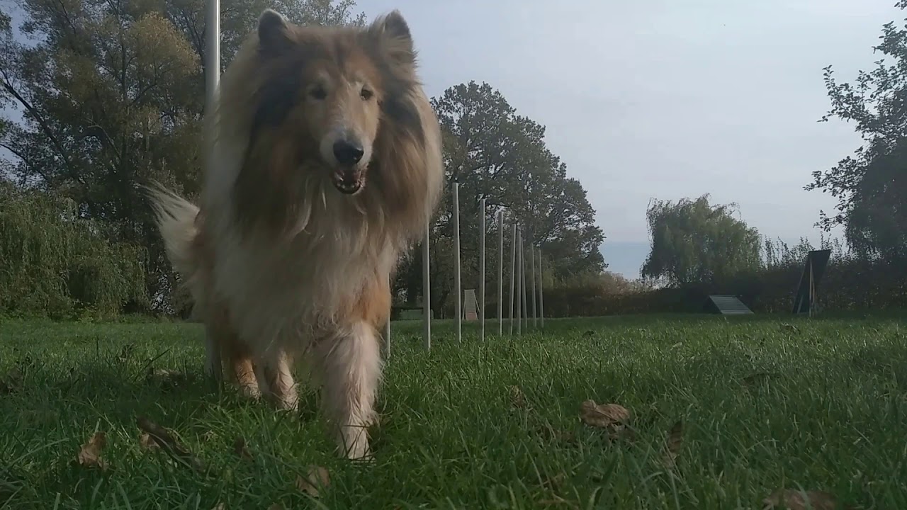Moje fantastická čtyřka :)