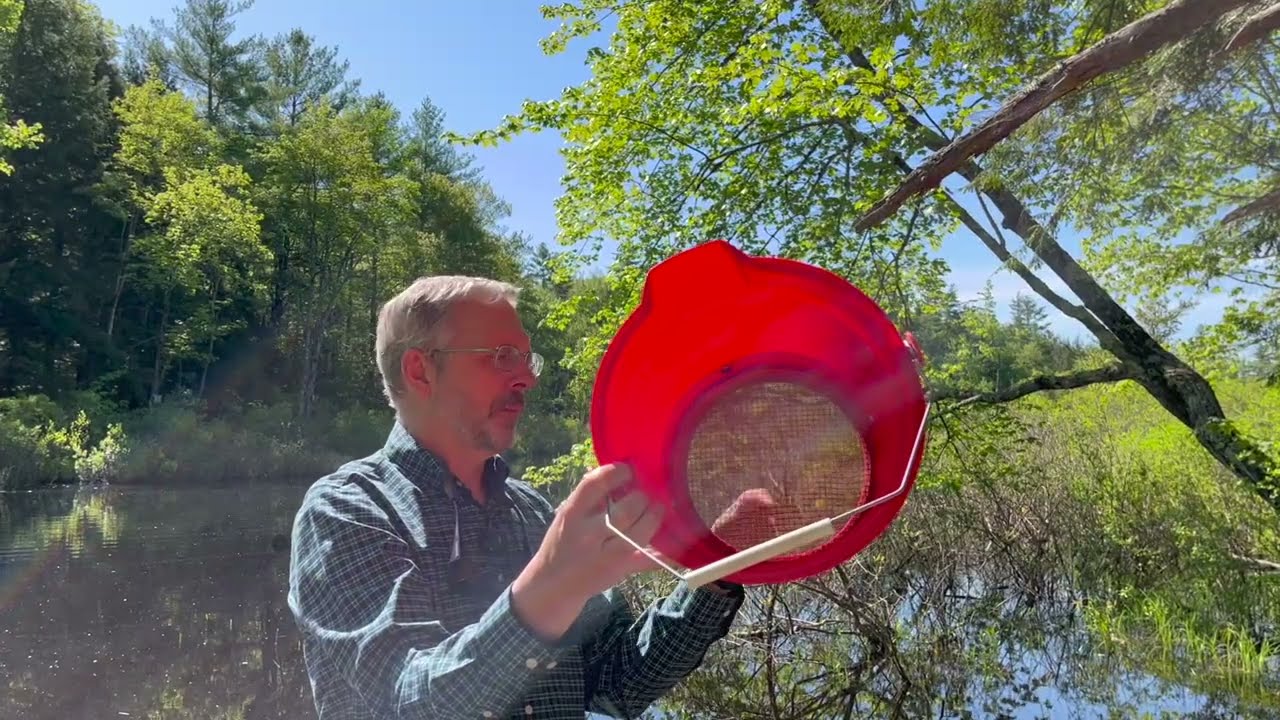 Stream Explorers Training