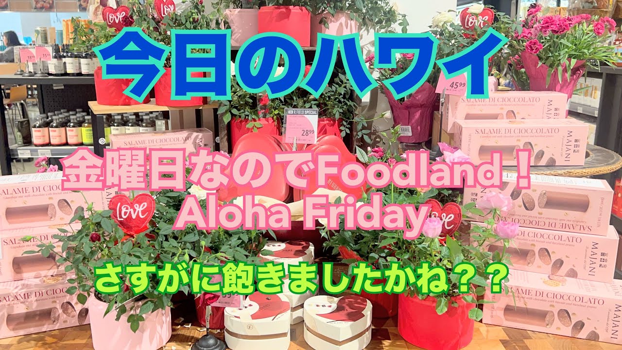 【今日のハワイ】Hawaii Today 今週も金曜日はFoodland！#ハワイ 2026年2月6日