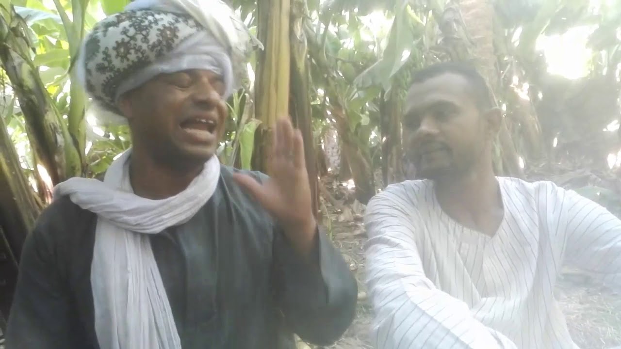 الحج الضوى البخيل والجبنه