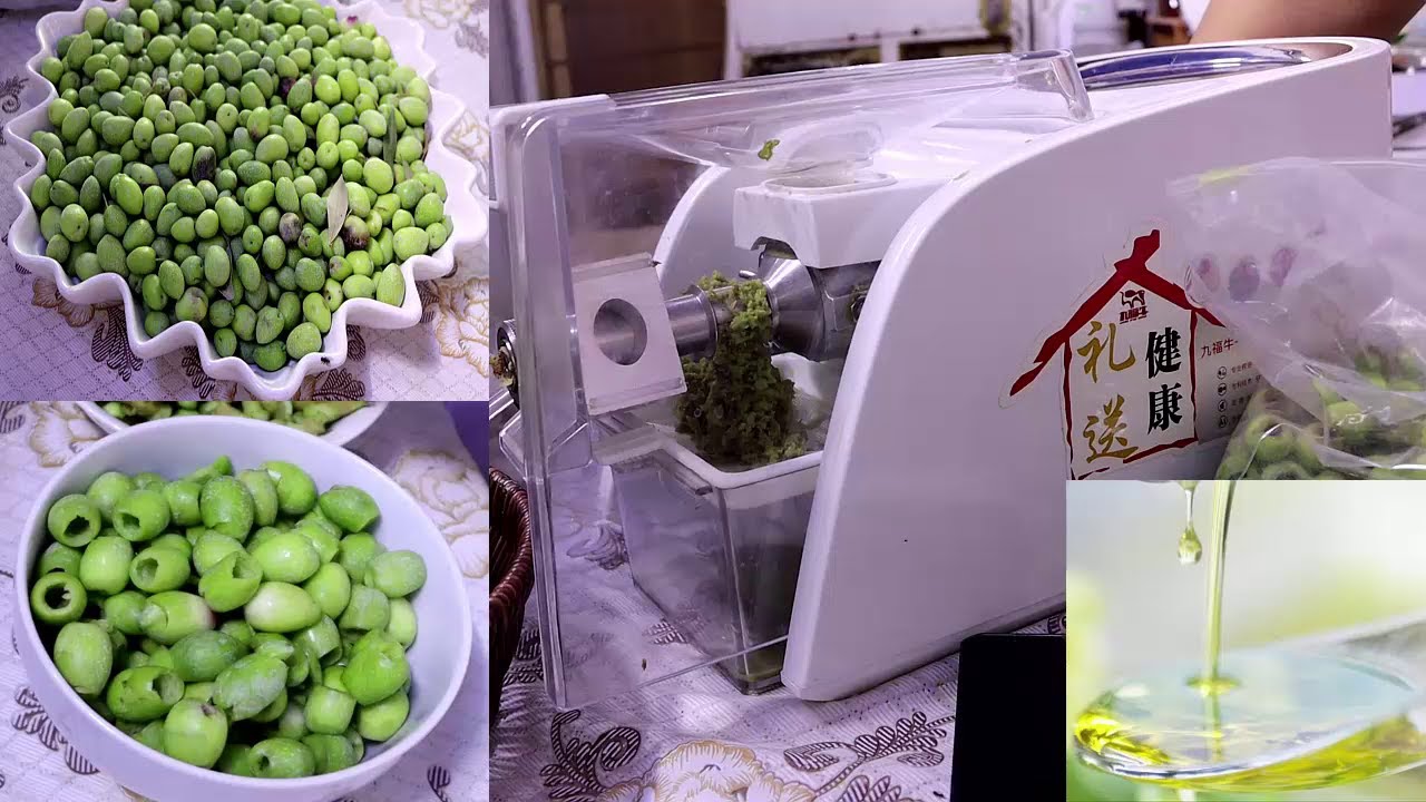 تجربه معصرة الزيوت / زيتون/ سمسم/عباد الشمس/ لوز/ جوز /حبه سوداء ج2