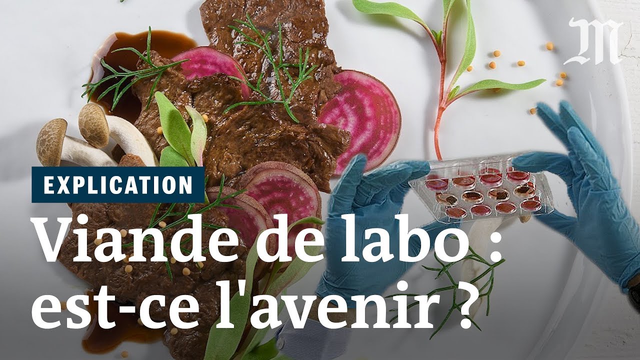 La viande de laboratoire peut-elle nourrir la planète ?