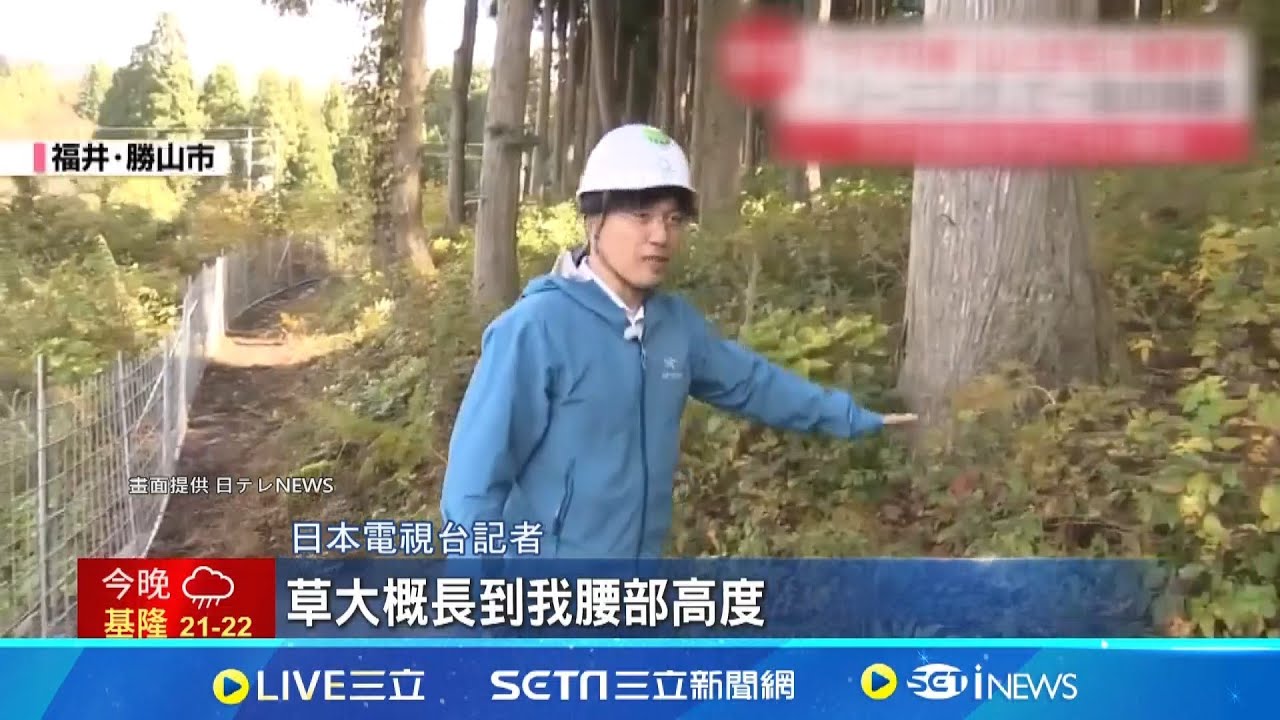 日本熊害擴大 美國務院向在日公民示警 札幌住宅區雪地悚見熊掌印熊為覓食闖入溫泉旅館 老闆驚:牆都被抓破 人熊邊界模糊 日推