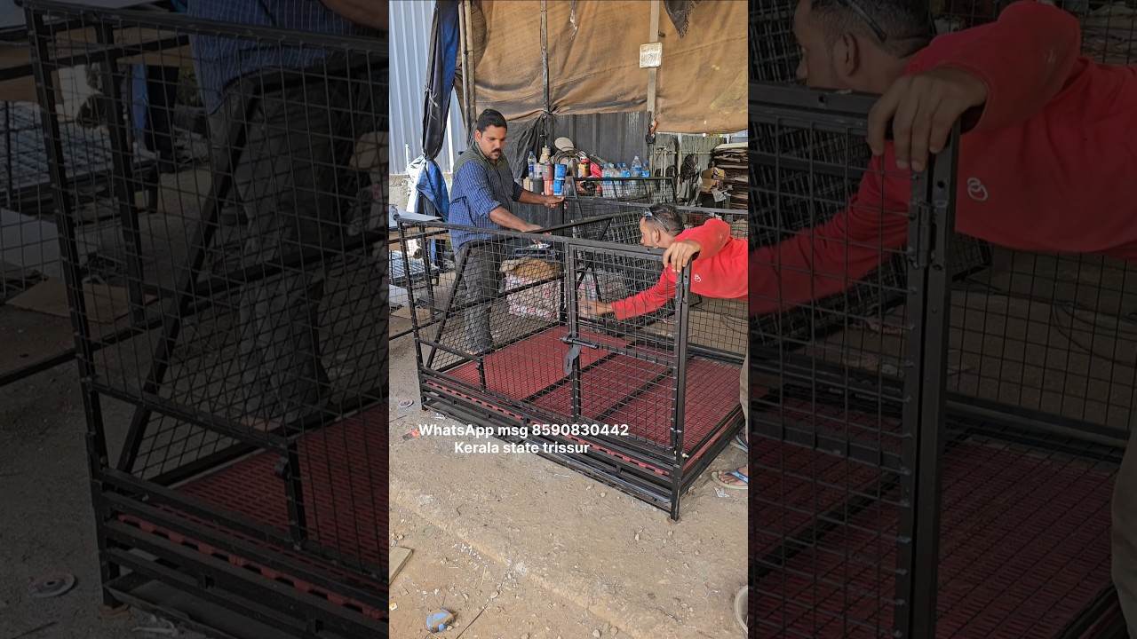 5&times;4&times;3 feet folding dog cage WhatsApp msg 8590830442