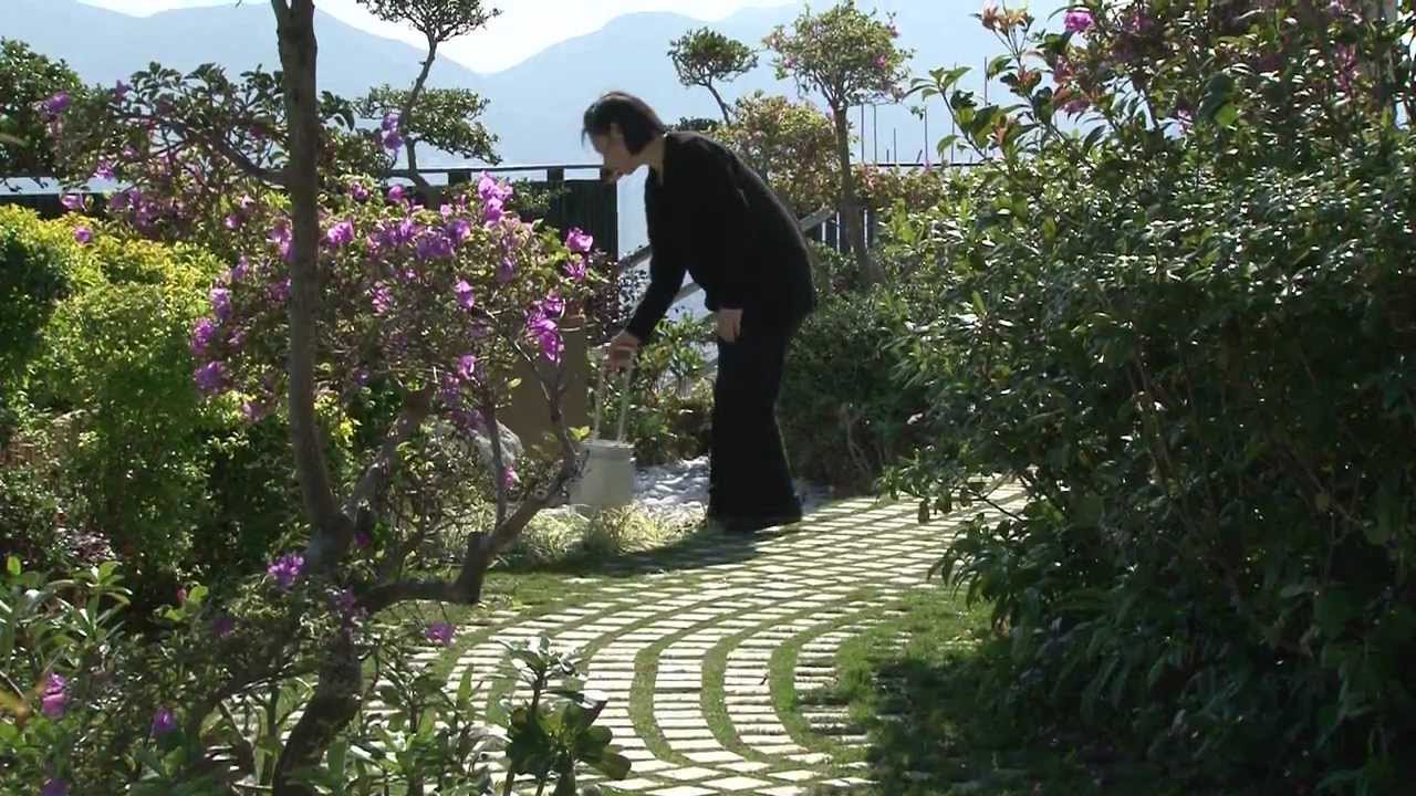 撒放骨灰服務