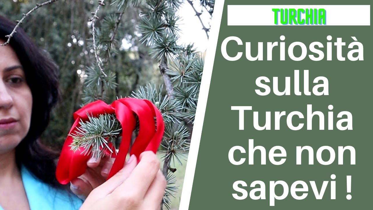 Curiosità sulla Turchia che non sapevi!