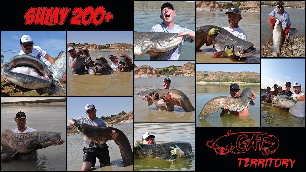 SUMY / Rio Ebro Hiszpania