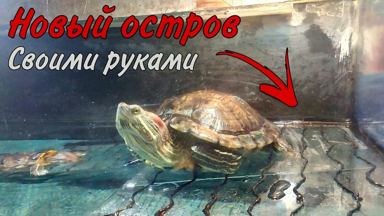 НОВЫЙ СТЕКЛЯННЫЙ БЕРЕГ ДЛЯ КРАСНОУХИХ ЧЕРЕПАХ СВОИМИ РУКАМИ