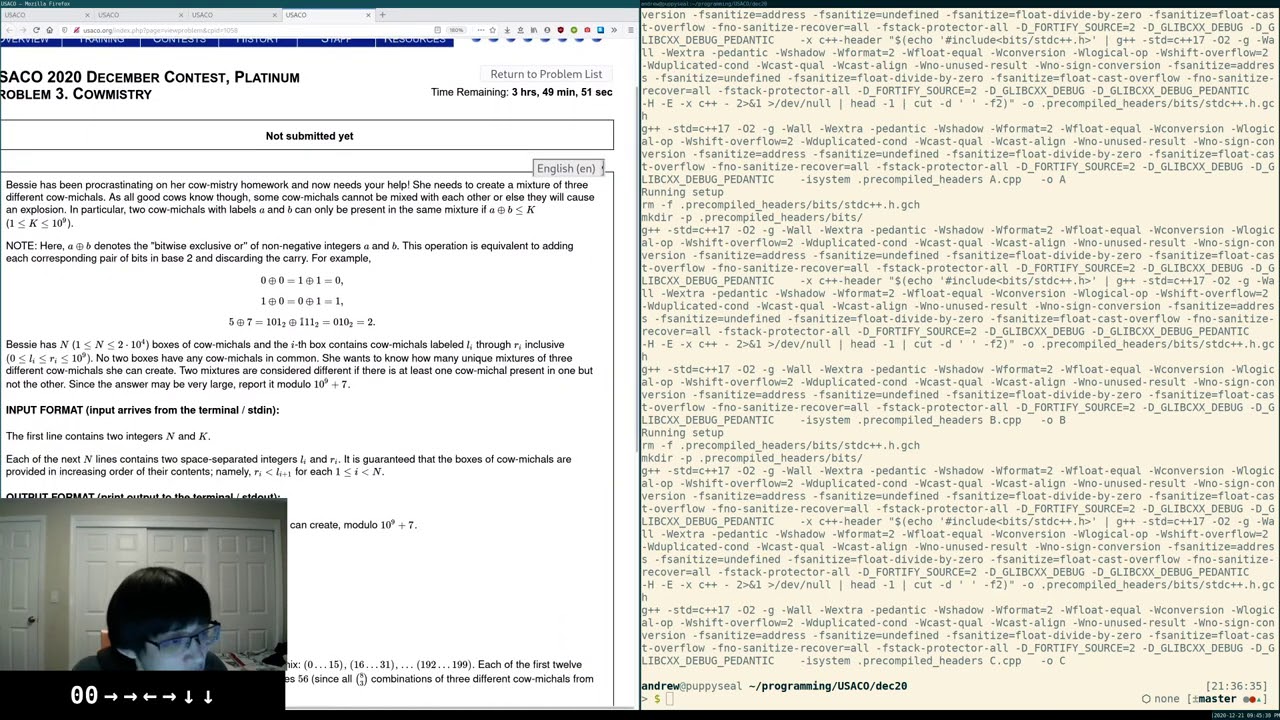 Perfect Score on USACO Platinum Contest! December 2020 Monthly Contest Screencast and Analysis