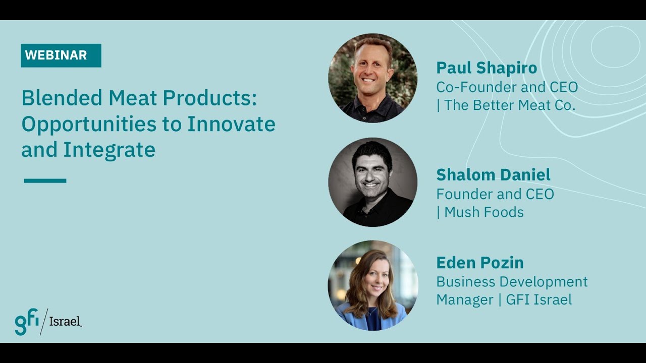 Blended Meat Products Opportunities to Innovate and Integrate - 18 September 2024