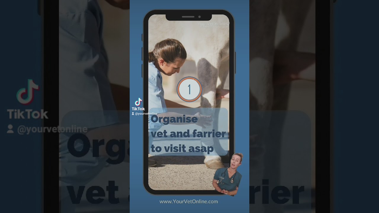Краткие советы для лошадей с ламинитом #shorts #onlinevet #vet #horse