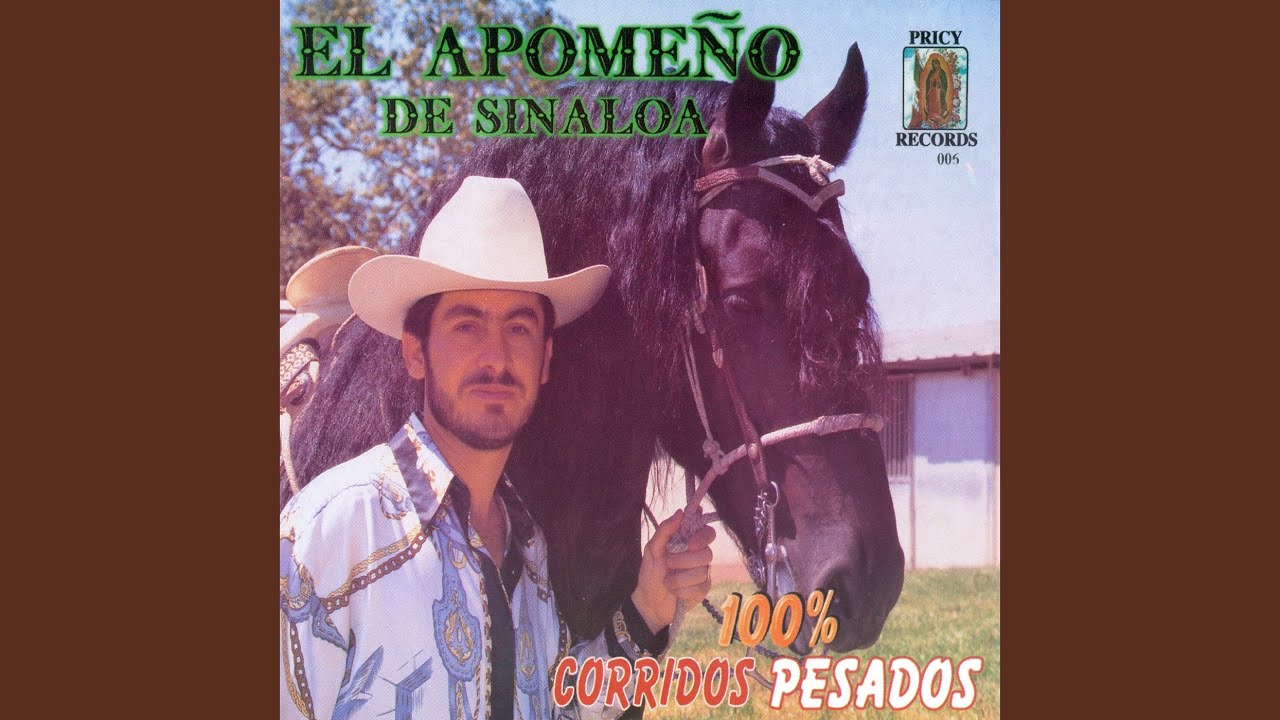 Los 3 Amarradores