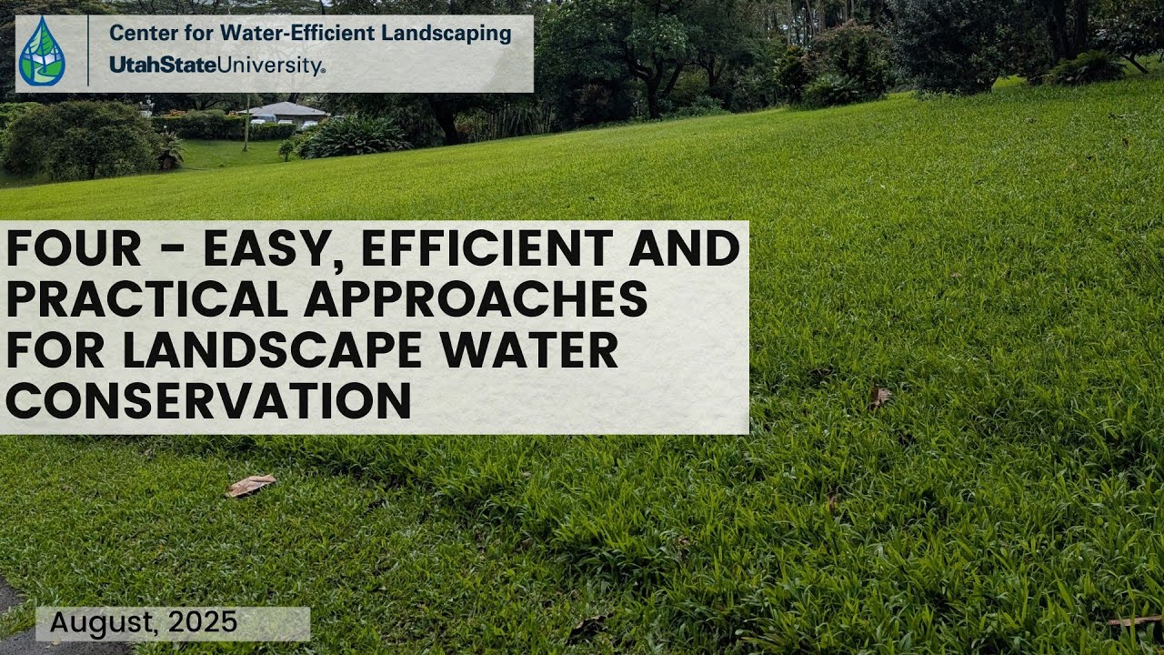 Four - easy, efficient and practical approaches for landscape water conservation