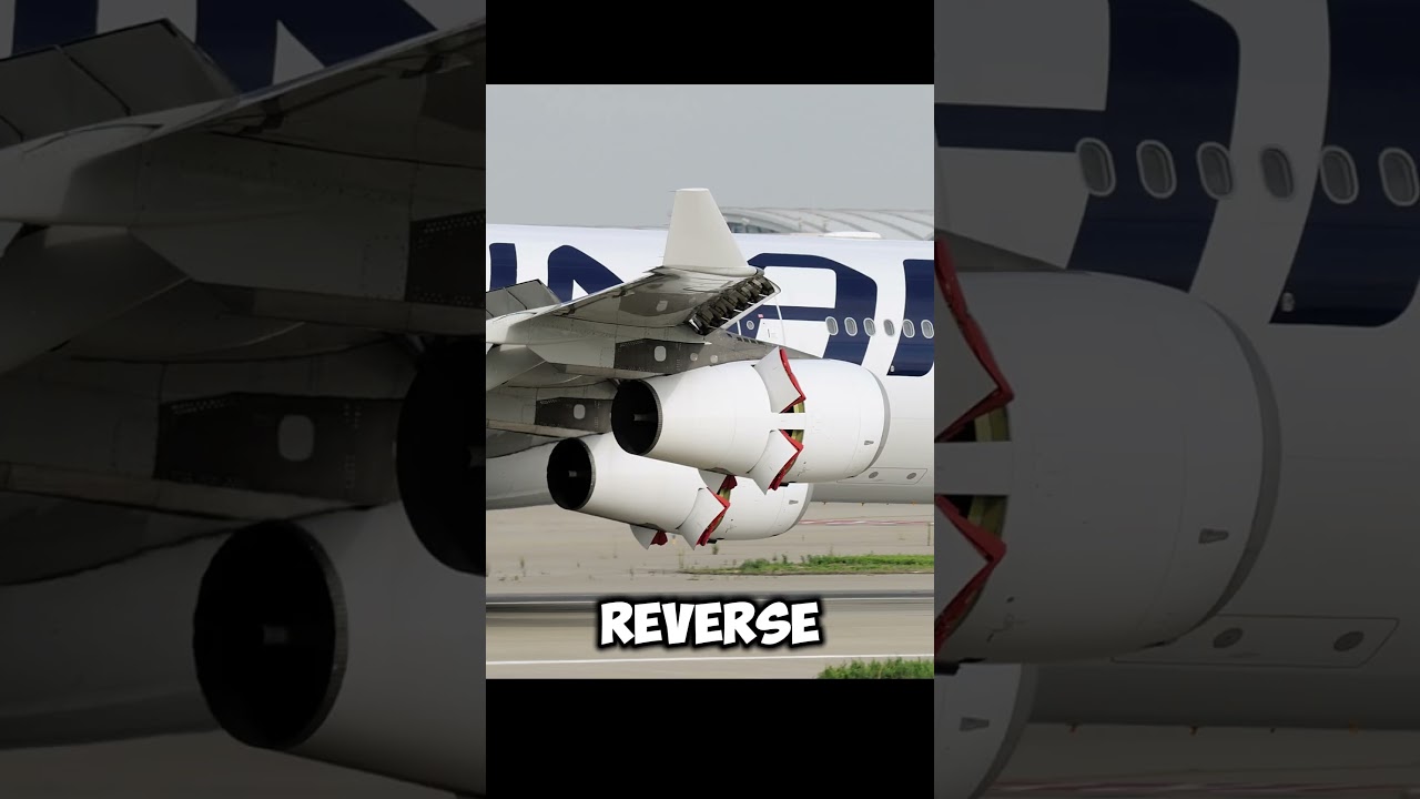 Why can't most planes reverse? #plane #aviation #actlly