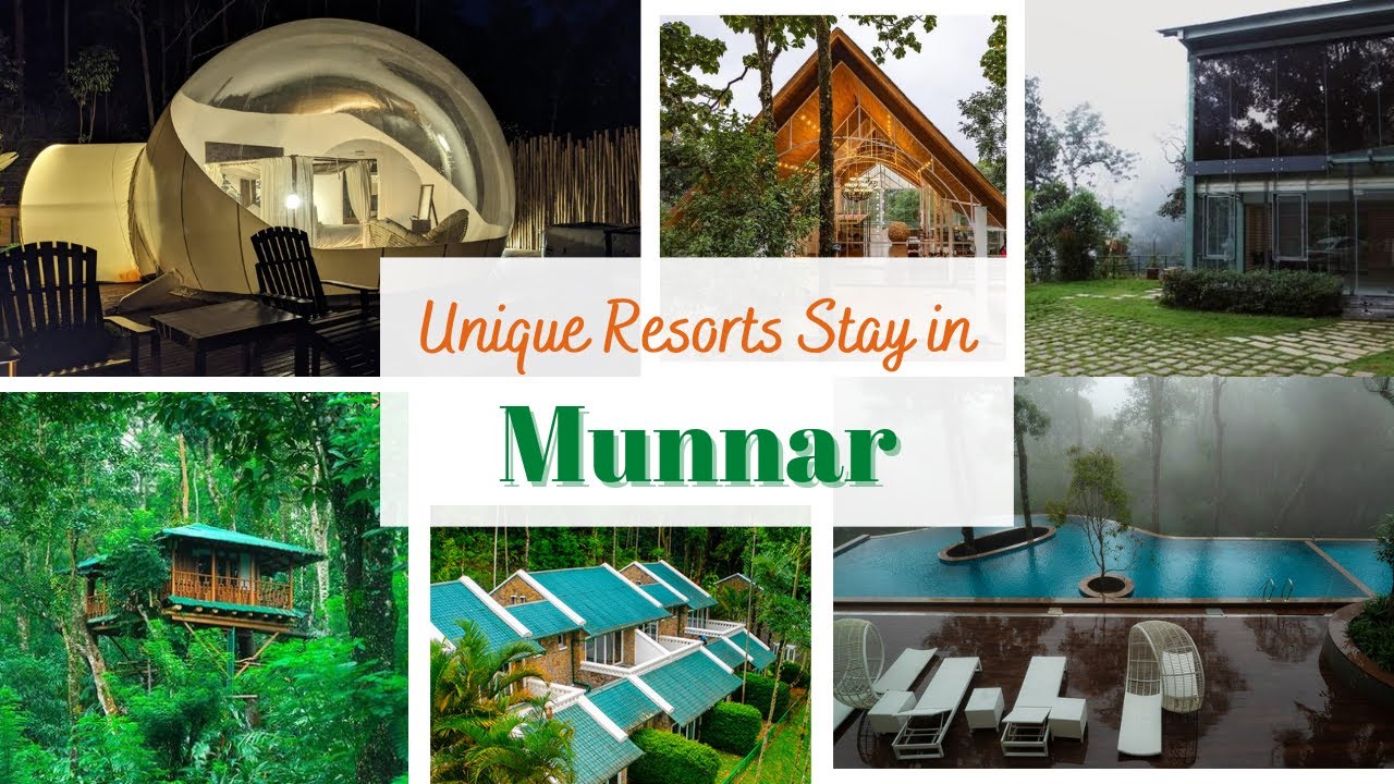 Resorts in Munnar | Best Resorts in Munnar | #munnarresorts #munnar