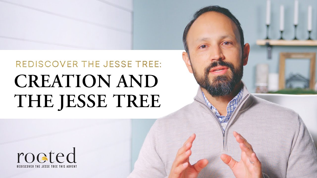 Creation and the Jesse Tree | Rooted: Rediscover the Jesse Tree this Advent